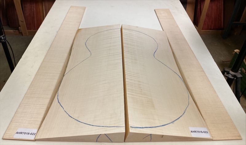 Boden & Zargen Ahorn, europ. Archtop Einzelstück #022